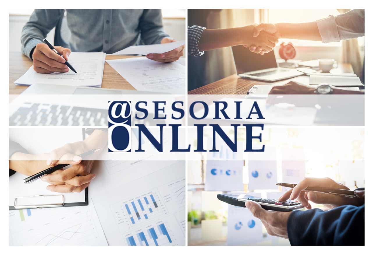 asesoria on line